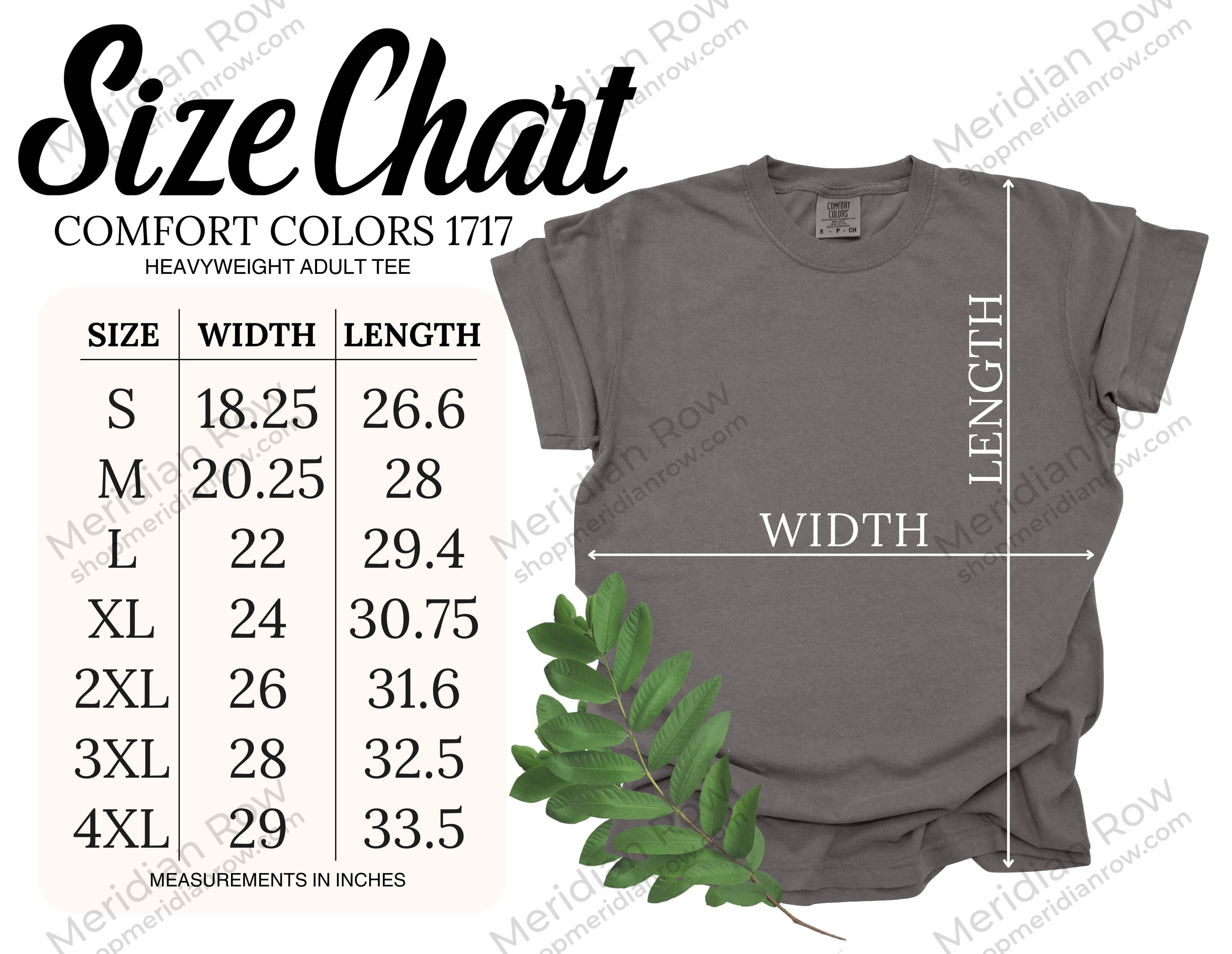 Stay Salty Christian T-Shirt | Matthew 5:13 Beach Shirt | Comfort Colors 1717 Coastal Faith Tee